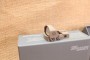 Point rouge SIG SAUER ROMEO1PRO FDE 1x30 6MOA