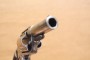 Revolver Colt New Line calibre 41RF