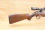 Carabine 22 Magnum Anschütz modèle 1516