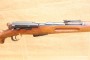 Schmidt & Rubin 1896/11 calibre 7,5X55