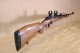 Carabine Zastava calibre 243W