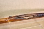Crosse Steyr M95