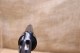 Revolver Smith § Wesson modèle 10-10 calibre 38 Special