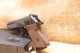 Pistolet Walther PPK-L calibre 7,65 Browning