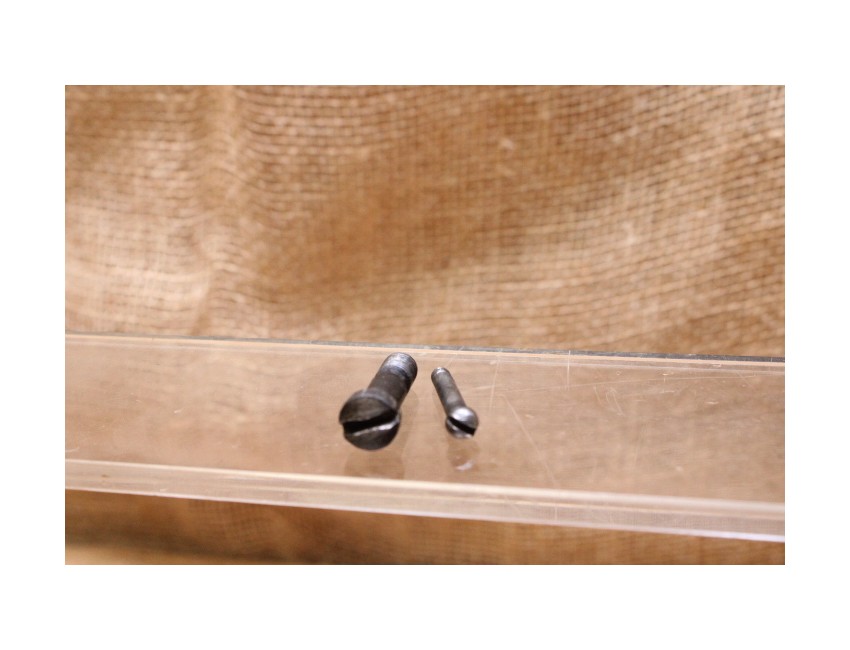 Set de Vis (2 vis) pontet Enfield N°1MK3
