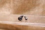 Set de Vis (2 vis) pontet Enfield N°1MK3