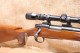 Carabine Remington 700  calibre 243W