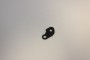Pièce de désarmement P38
