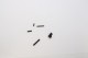 Lot de pièces divers Tokarev TT33